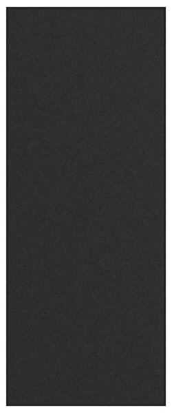 Dywanik wejściowy Inny Czarny 120 x 300 cm Poliamid i PVC
