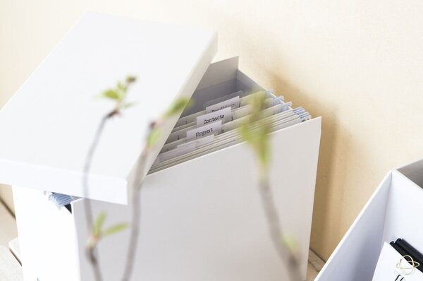 Kartonowy organizer na dokumenty Johan – Bigso Box of Sweden