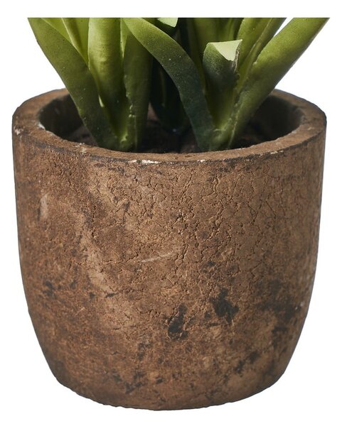 Sztuczne rośliny zestaw 4 szt. (wysokość 10 cm) Cactus – Casa Selección
