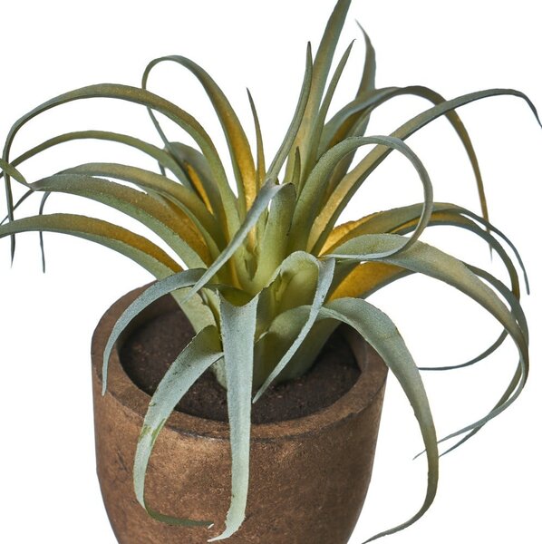 Sztuczne rośliny zestaw 4 szt. (wysokość 10 cm) Cactus – Casa Selección