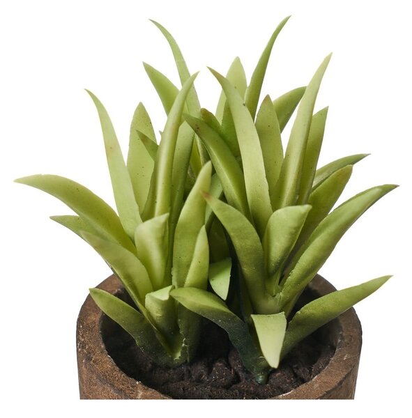 Sztuczne rośliny zestaw 4 szt. (wysokość 10 cm) Cactus – Casa Selección