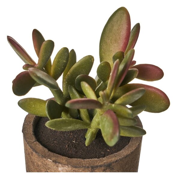 Sztuczne rośliny zestaw 4 szt. (wysokość 10 cm) Cactus – Casa Selección
