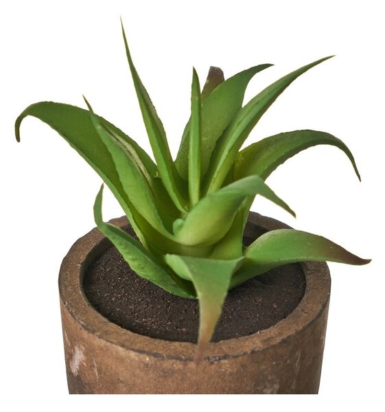 Sztuczne rośliny zestaw 4 szt. (wysokość 10 cm) Cactus – Casa Selección