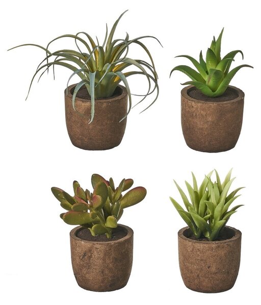 Sztuczne rośliny zestaw 4 szt. (wysokość 10 cm) Cactus – Casa Selección