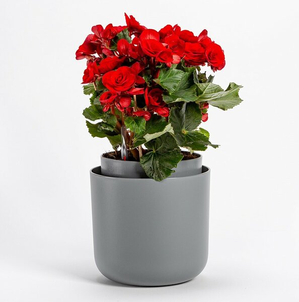 Plastia Doniczka samonawadniająca Tolita szary, śr. 19 cm, śred. 19 cm