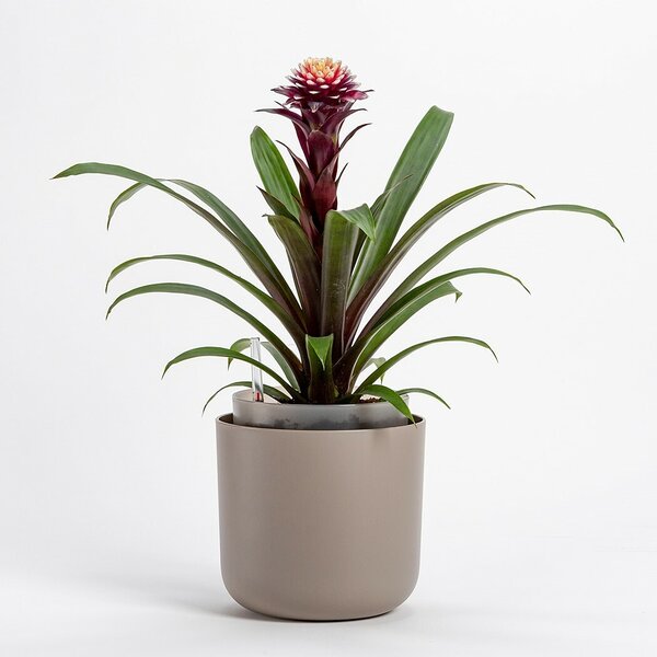 Plastia Doniczka samonawadniająca Tolita brązowy, śr. 19 cm, śred. 19 cm