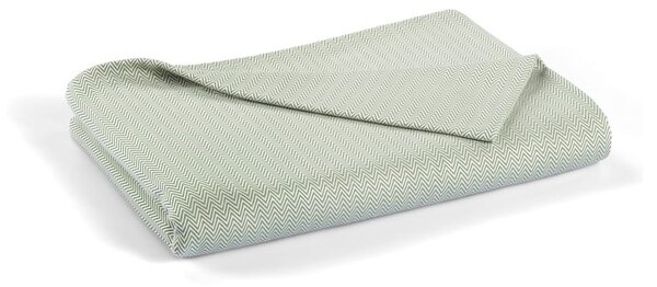 Zielona bawełniana narzuta na łóżko dwuosobowe 240x260 cm Lines – Mijolnir