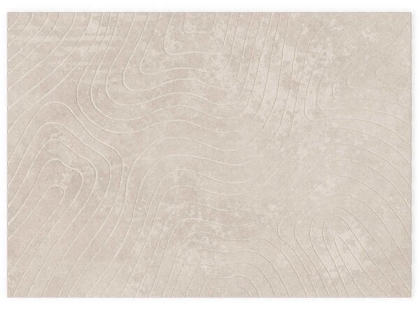 Dywany pokojowe PALMERAS Beżowy 200 x 280 cm Poliester