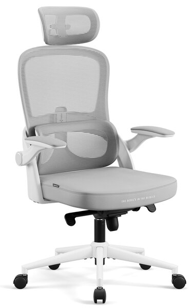 Ergonomiczny fotel do pracy w biurze Diablo V-Light, jasny szary