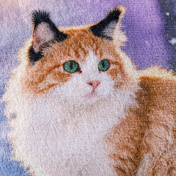 Zestaw 2 szt. poszewek na poduszki z mikropluszu SNOW CAT 45 x 45 cm