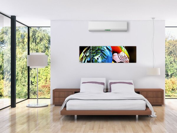 Obraz - Papuga (170x50 cm)