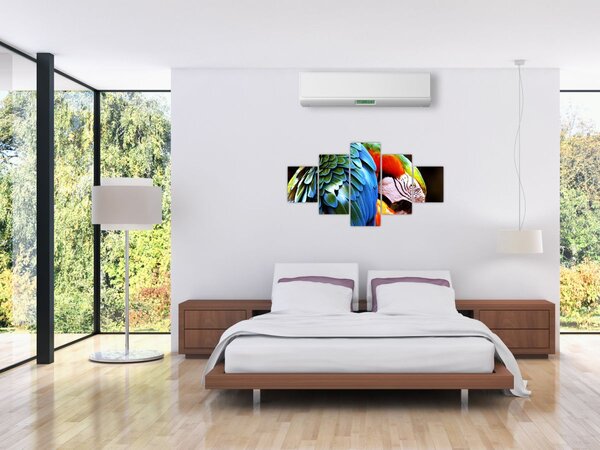 Obraz - Papuga (125x70 cm)