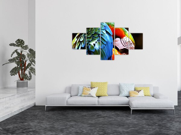 Obraz - Papuga (125x70 cm)