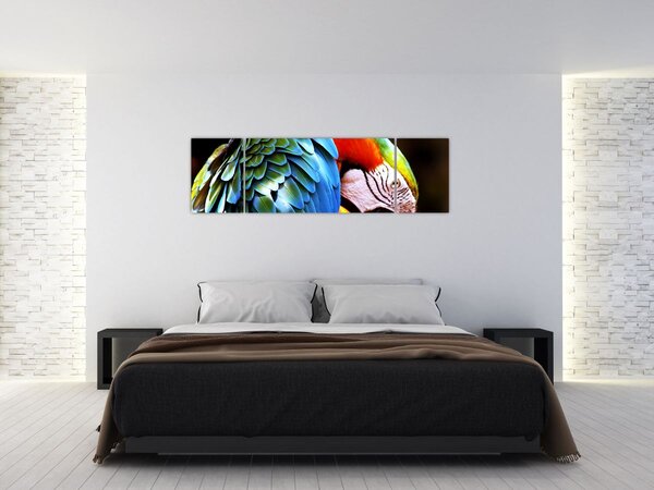 Obraz - Papuga (170x50 cm)