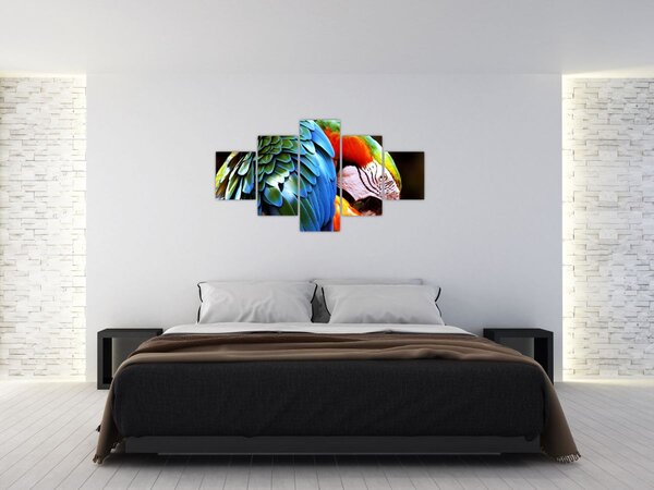 Obraz - Papuga (125x70 cm)