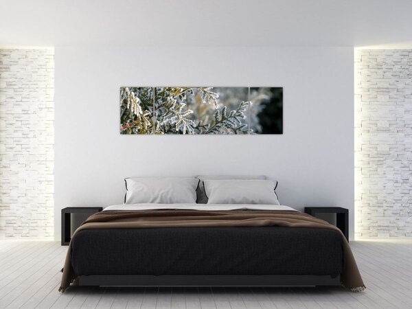 Obraz - Detal gałęzi (170x50 cm)