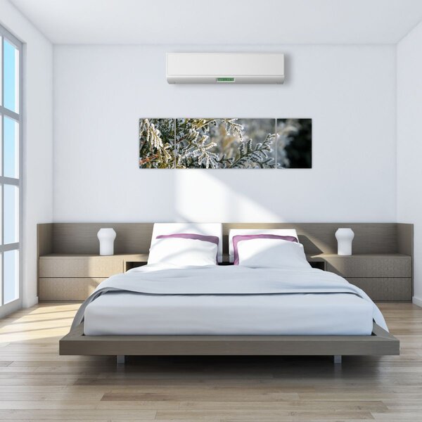 Obraz - Detal gałęzi (170x50 cm)