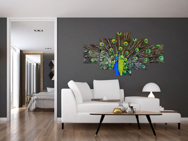 Obraz - Paw (125x70 cm)