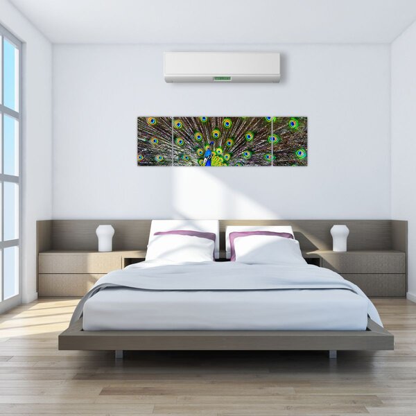 Obraz - Paw (170x50 cm)