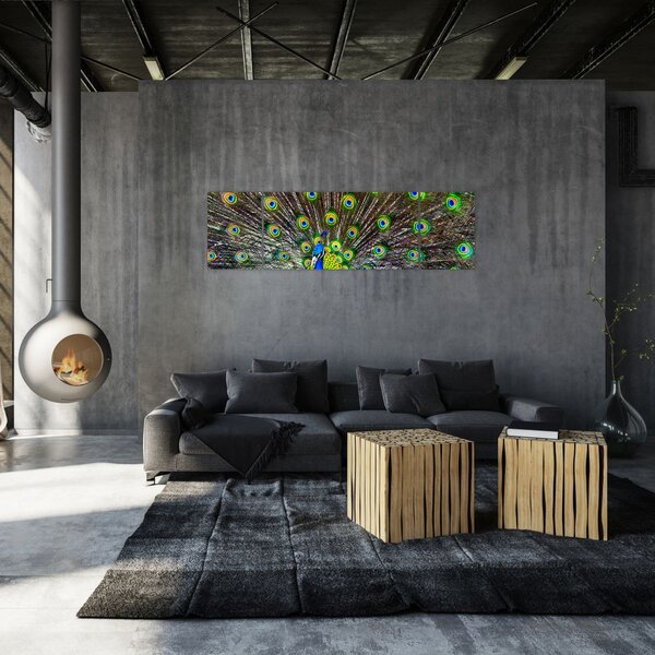 Obraz - Paw (170x50 cm)