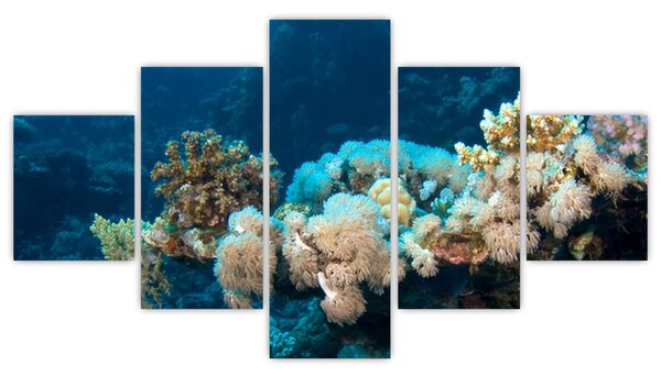Obraz - W oceanie (125x70 cm)