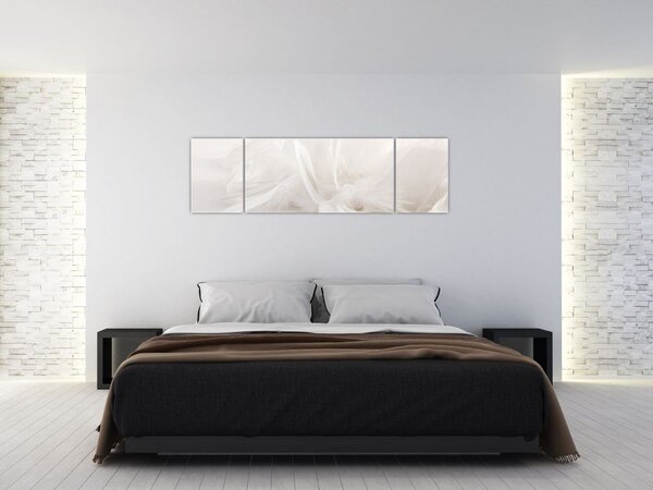 Obraz - Pióro (170x50 cm)