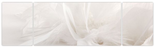 Obraz - Pióro (170x50 cm)