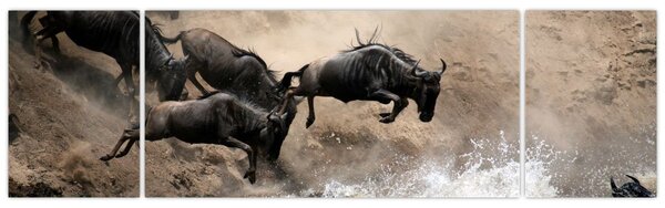 Obraz - Stado antylop gnu (170x50 cm)