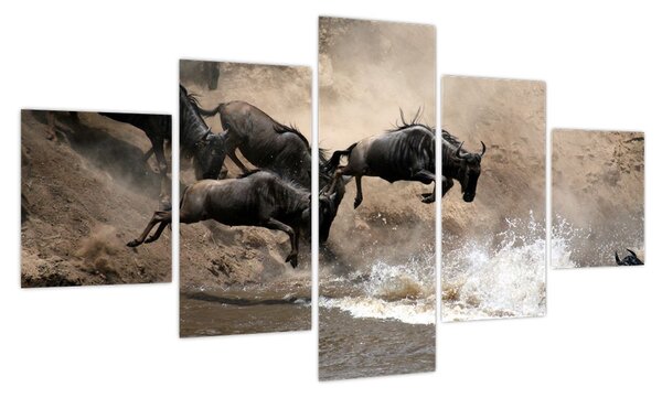 Obraz - Stado antylop gnu (125x70 cm)