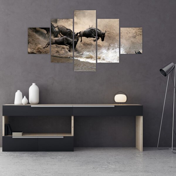 Obraz - Stado antylop gnu (125x70 cm)