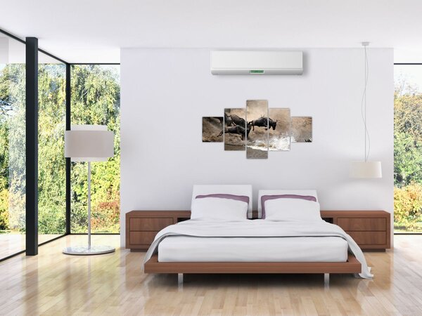 Obraz - Stado antylop gnu (125x70 cm)