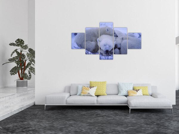Obraz - Niedźwiadki polarne (125x70 cm)