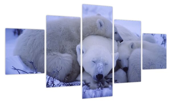 Obraz - Niedźwiadki polarne (125x70 cm)