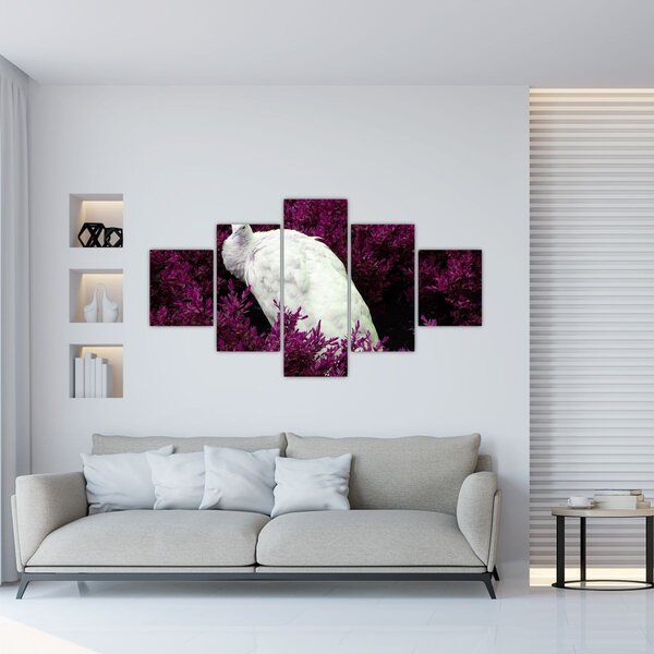 Obraz - Biały paw (125x70 cm)