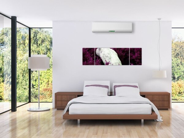 Obraz - Biały paw (170x50 cm)