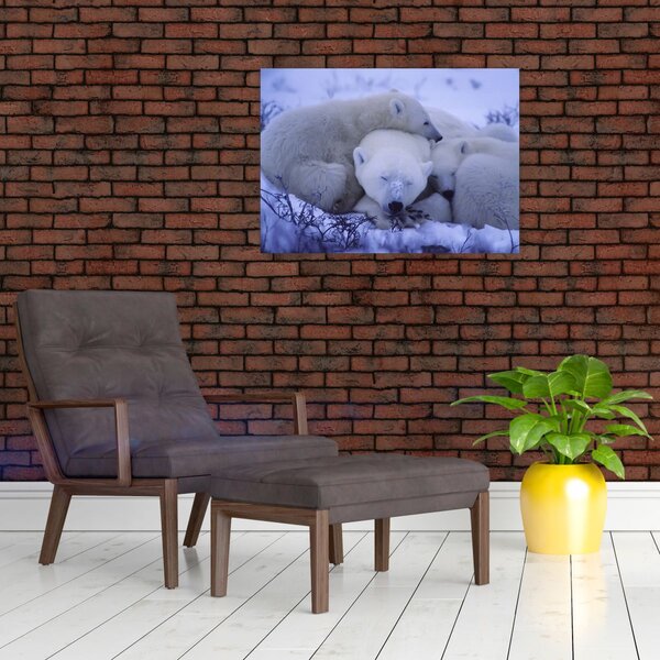 Obraz - Niedźwiadki polarne (70x50 cm)