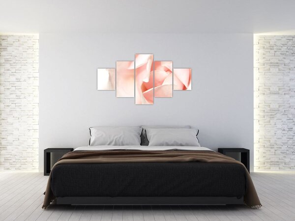 Obraz - Róża (125x70 cm)