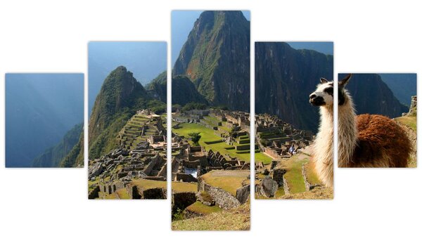 Obraz - Lama i Machu Picchu (125x70 cm)