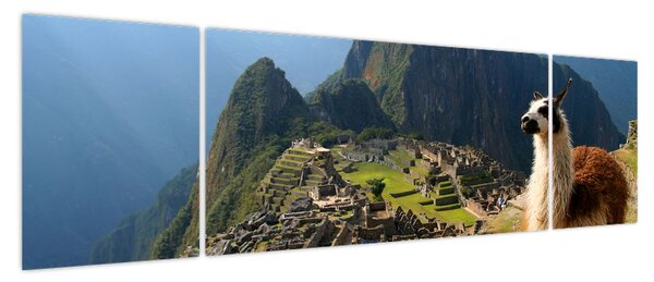 Obraz - Lama i Machu Picchu (170x50 cm)