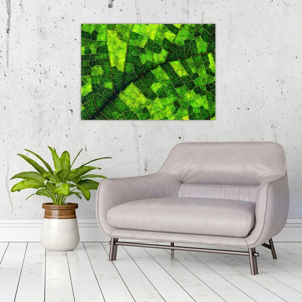 Obraz - Detal liścia (70x50 cm)