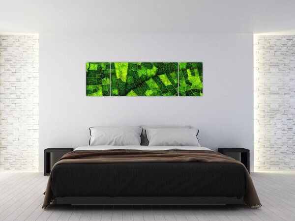 Obraz - Detal liścia (170x50 cm)