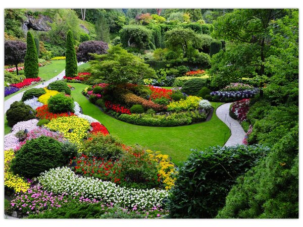 Obraz - Park (70x50 cm)