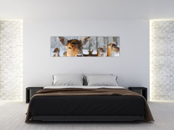 Obraz - Jelonki (170x50 cm)