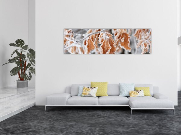 Obraz - Zamarznięte liście (170x50 cm)