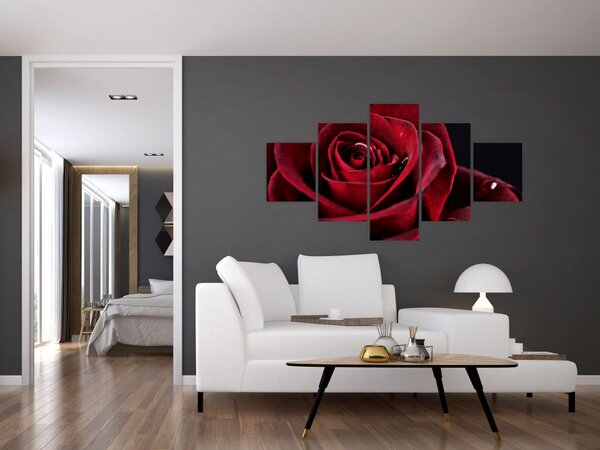 Obraz - Czerwona róża (125x70 cm)