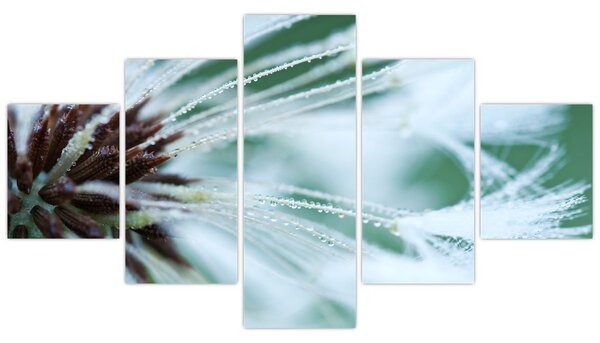 Obraz - Detal kwiatu (125x70 cm)