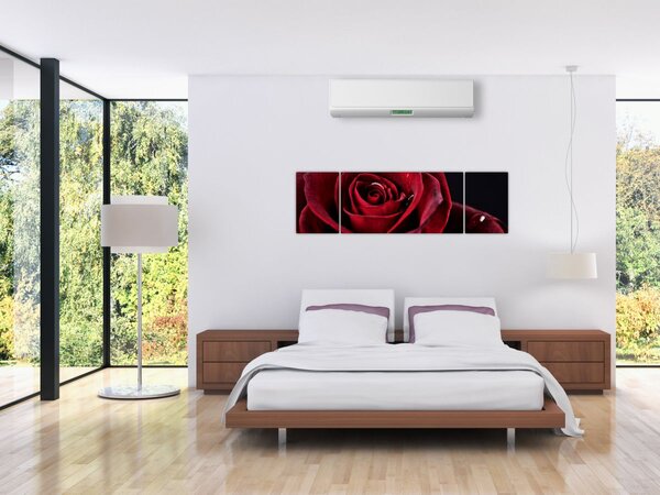 Obraz - Czerwona róża (170x50 cm)