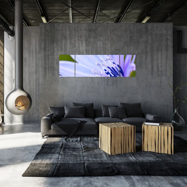 Obraz - Kwiat (170x50 cm)
