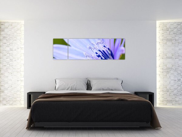 Obraz - Kwiat (170x50 cm)