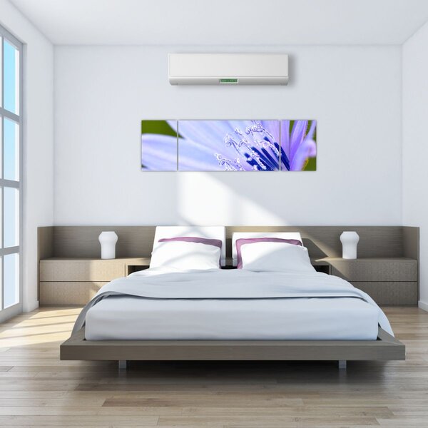 Obraz - Kwiat (170x50 cm)
